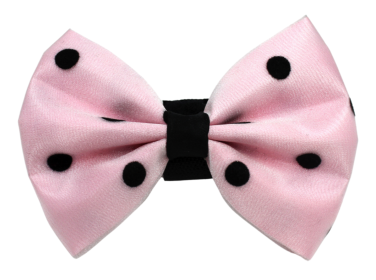 PR1001|Pets Ribbons (Color: 2, size: 5")
