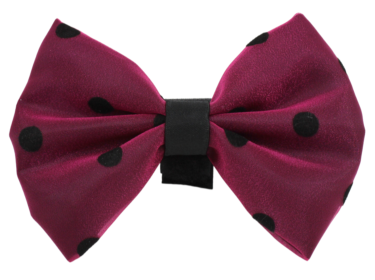 PR1001|Pets Ribbons (Color: 8, size: 6")