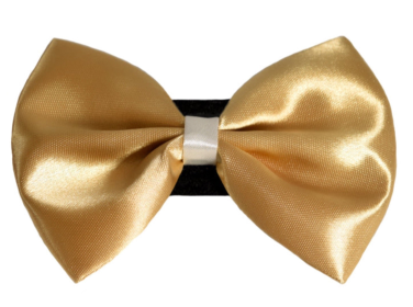 PR3001|Pets Ribbons (Color: 3, size: 6")