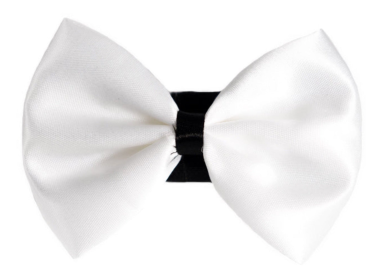 PR3001|Pets Ribbons (Color: 9, size: 6")