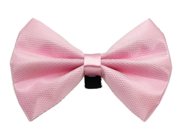 PR3004|Pets Ribbons (Color: 4, size: 3")
