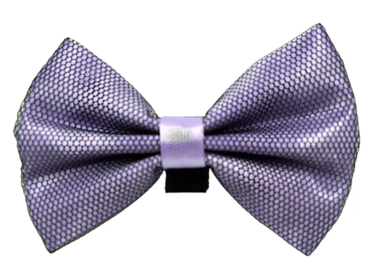 PR3005|Pets Ribbons (Color: 4, size: 3")