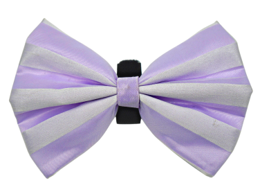 PR3006|Pets Ribbons (Color: 10, size: 2")