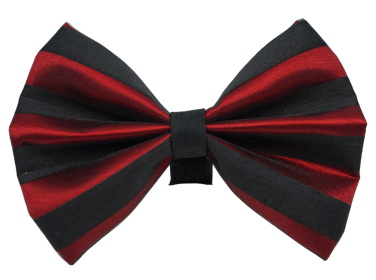 PR3006|Pets Ribbons (Color: 2, size: 3")
