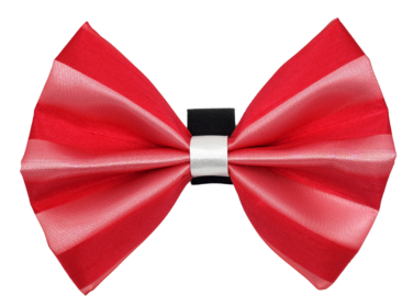 PR3006|Pets Ribbons (Color: 4, size: 3")