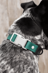 Siberian Spruce Waterproof Dog Collar (size: 13 - 15 inch)
