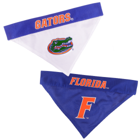 Florida Reversible Bandana (size: XXL)