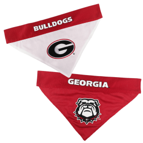 Georgia Reversible Bandana (size: L-XL)