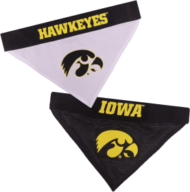 Iowa Reversible Bandana (size: S-M)