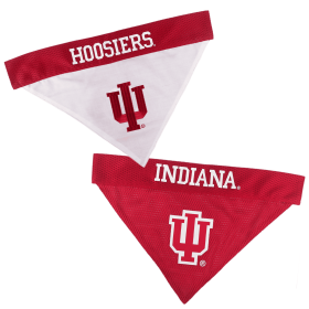 Indiana Reversible Bandana (size: XXL)