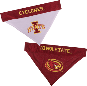 Iowa State Reversible Bandana (size: S-M)