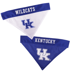 Kentucky Reversible Bandana (size: XXL)