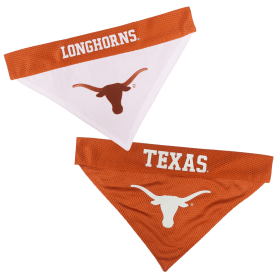 Texas Reversible Bandana (size: S-M)