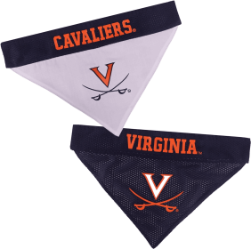 Virginia Reversible Bandana (size: S-M)