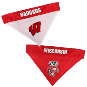 Wisconsin Reversible Bandana (size: S-M)