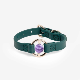 All Eyes On Me Collar (Color: Jungle Green, size: S)